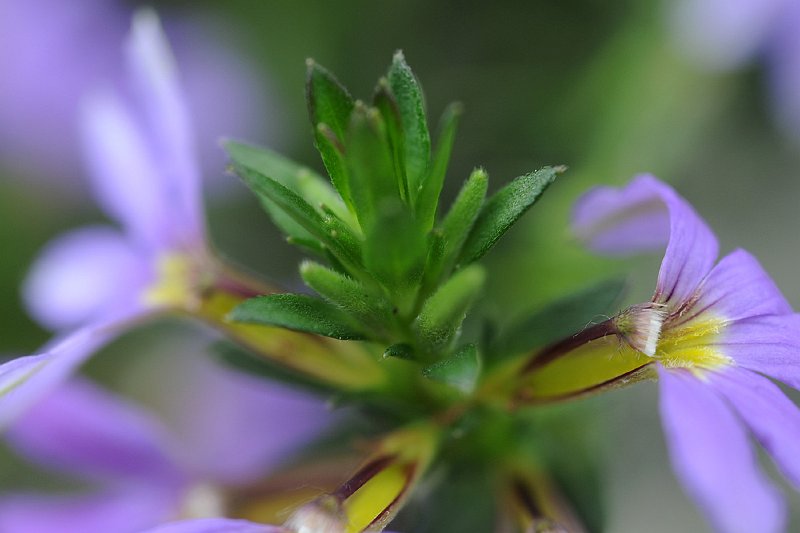 HJM_0174.jpg